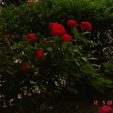 Acasa فندق مبيت وإفطار 2*